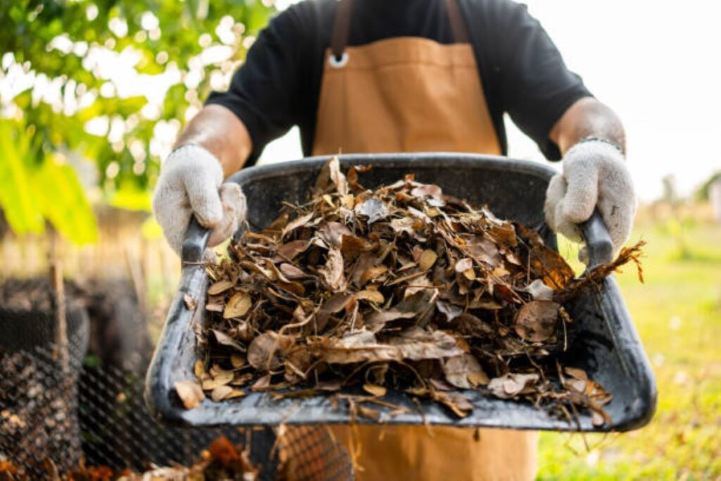 black mulch