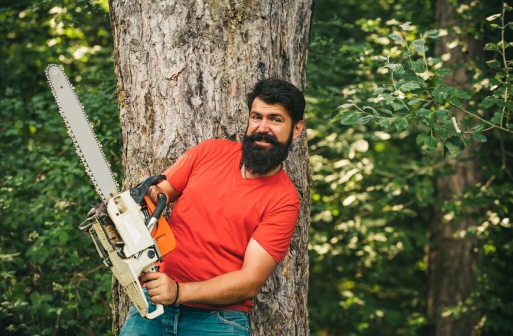 Arborist North Shore
